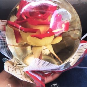 Meet your Posher, Mariela